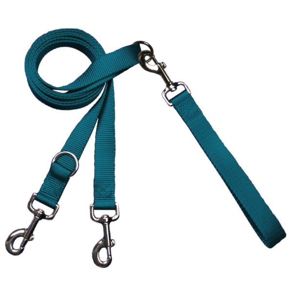 Teal dog leash with double-connection clips - Euro style for training and walking