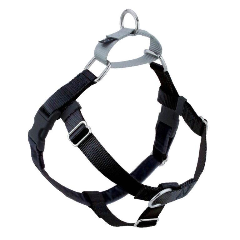 Black dog outlet dog harness