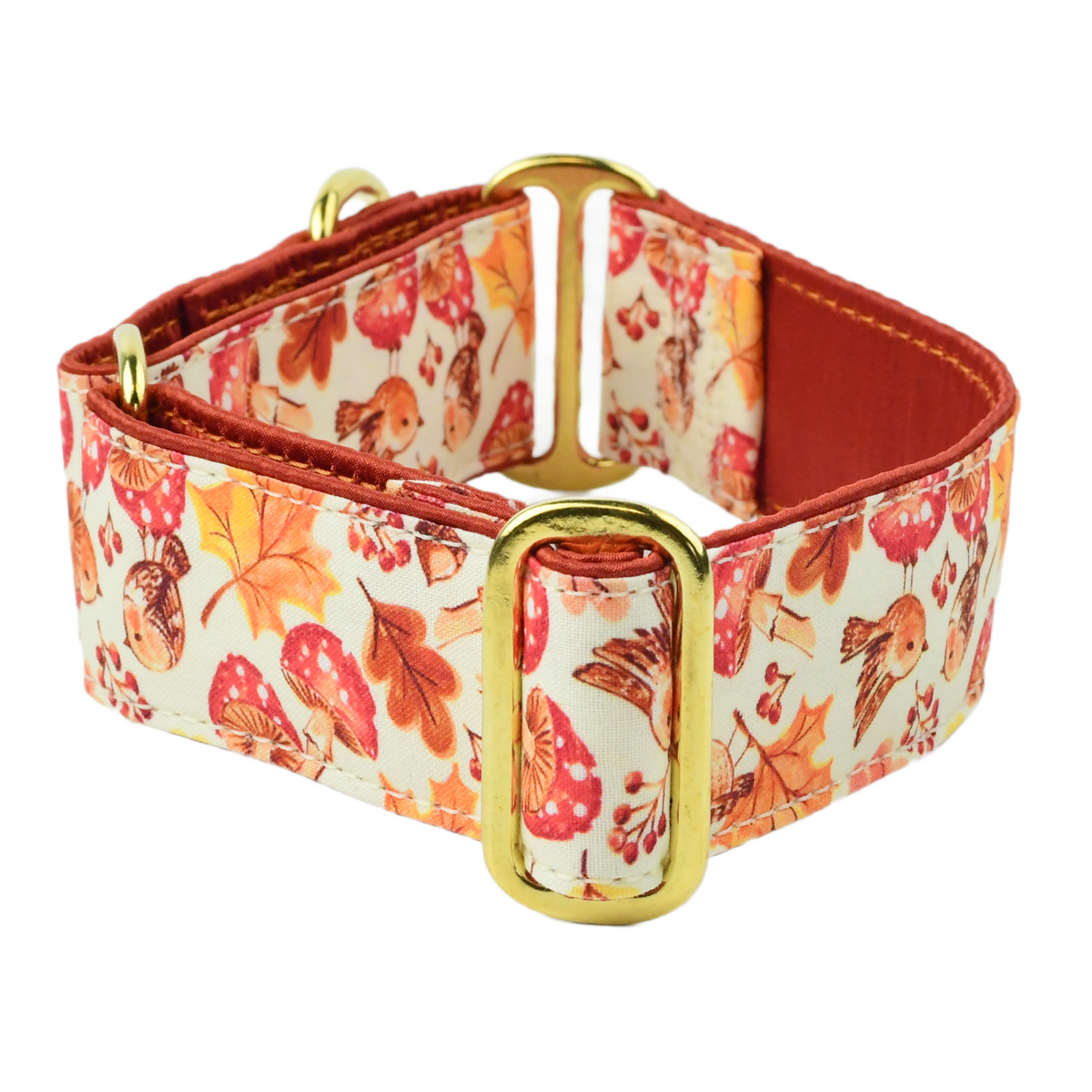Grandma's Shrooms - Limited Dog Collar