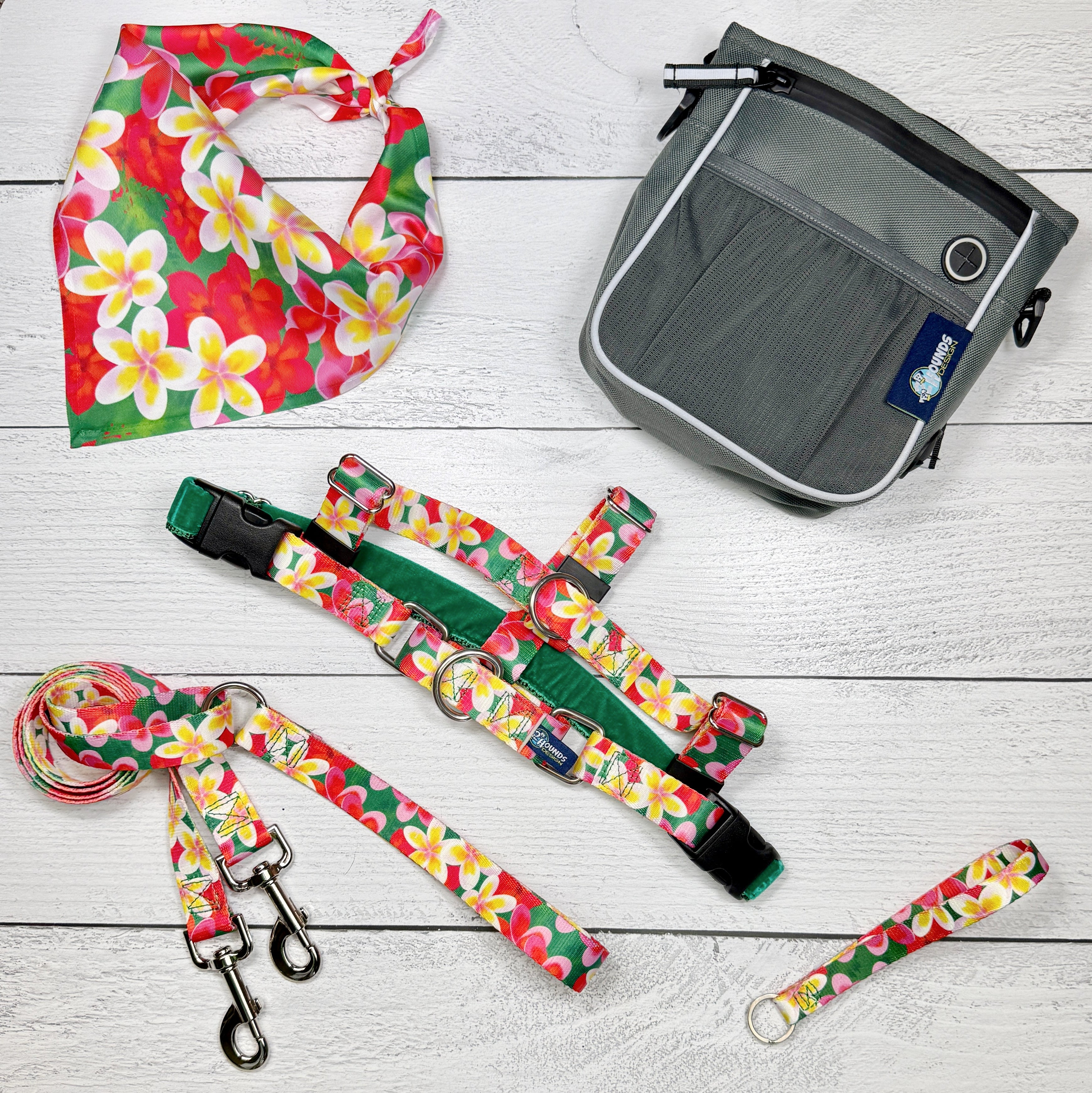 **BUNDLE!** Aloha Freedom No-Pull Harness & More!