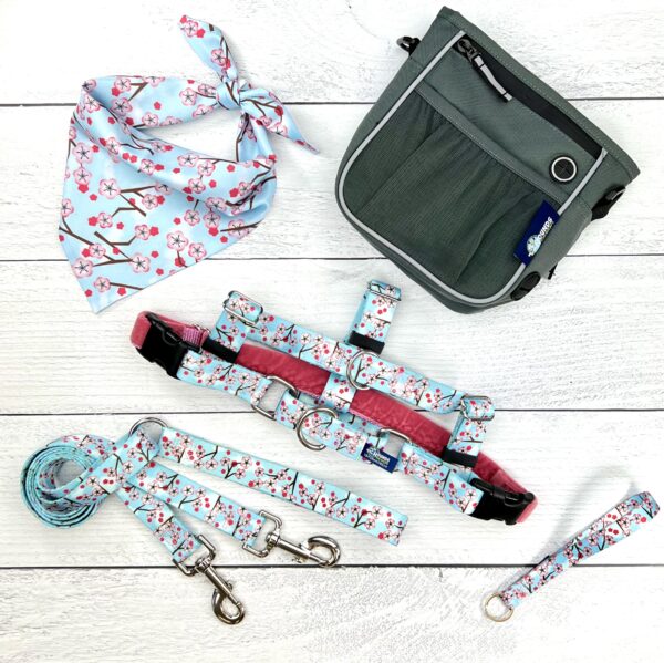 Cherry blossom dog harness, leash, bandana, and treat pouch set for dogs