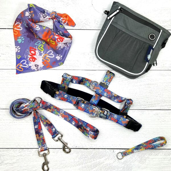 Love Graffitis Blue dog harness, leash, bandana, and treat pouch set for dogs