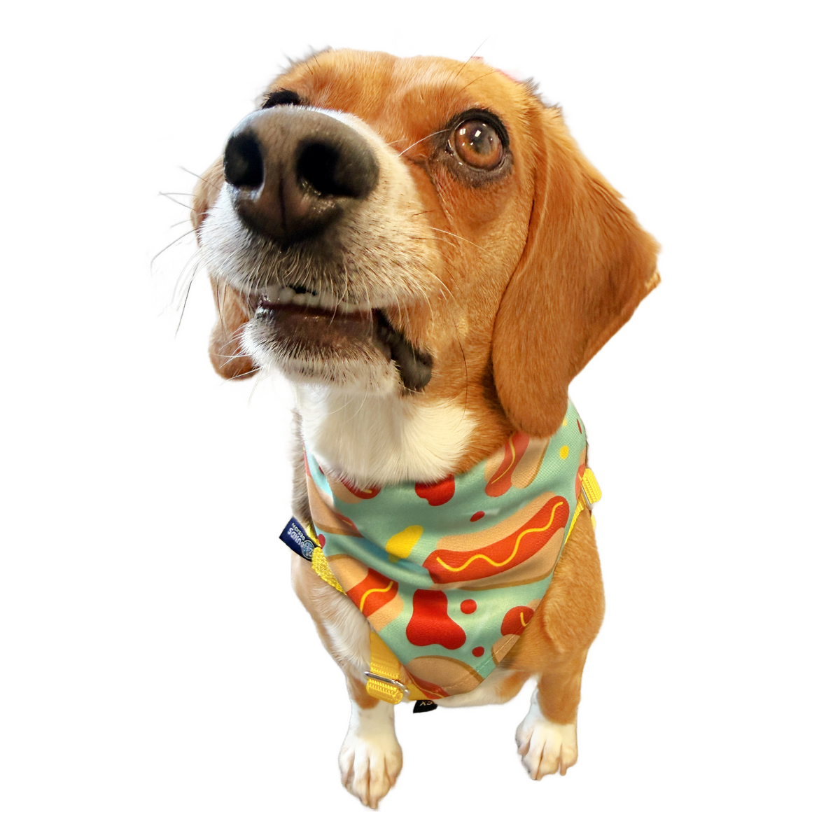 Hot Diggity Dog Dog Bandana