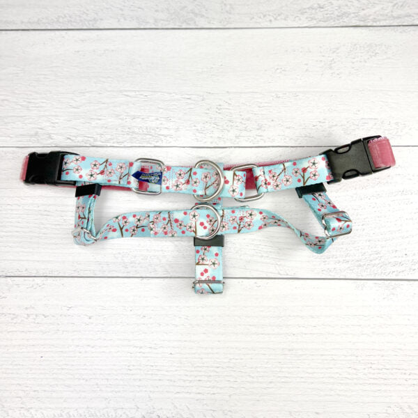 Cherry blossom print on light blue background freedom no-pull dog harness with velvet-lined straps and secure metal rings - EarthStyle