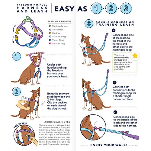 Diagram showing how to use a 2 Hounds Design Freedom Harness and training dog leash