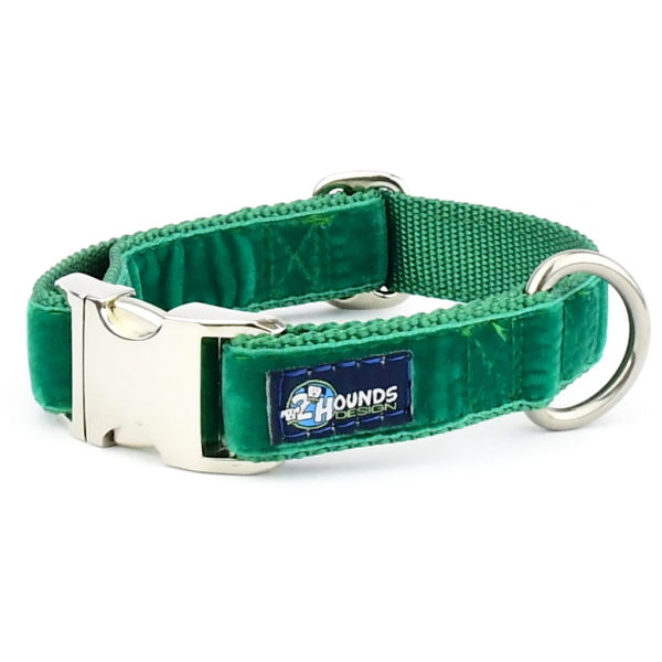 Kelly green dog clearance collar