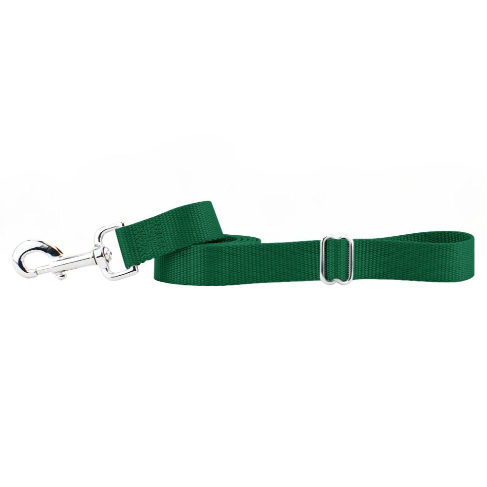 Green dog outlet leash