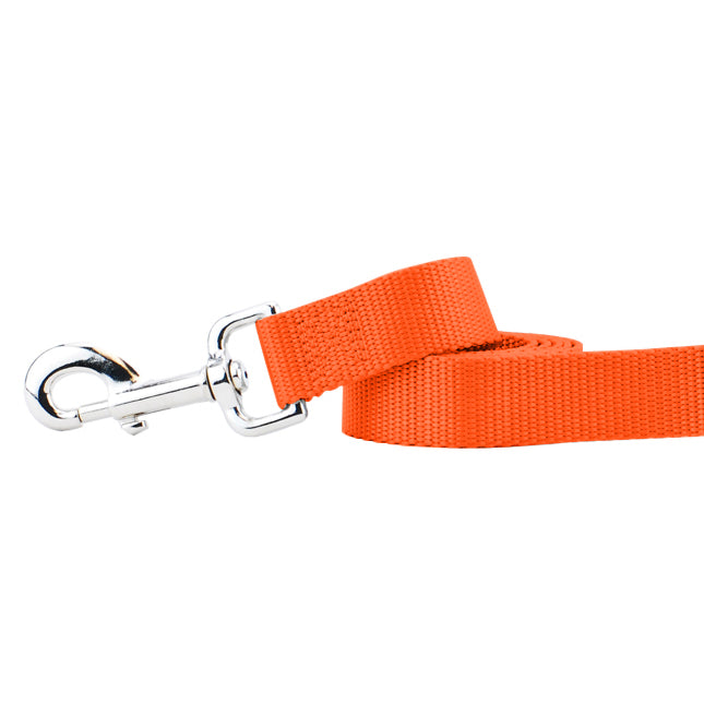 Rust Nylon Dog Leash (1