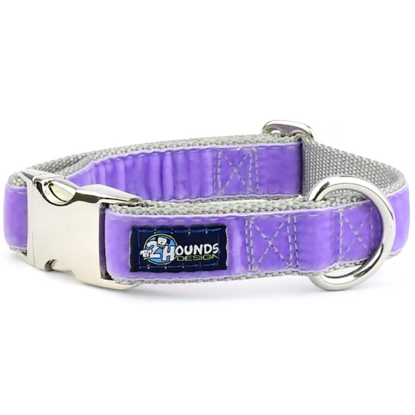 Lavender discount dog collar