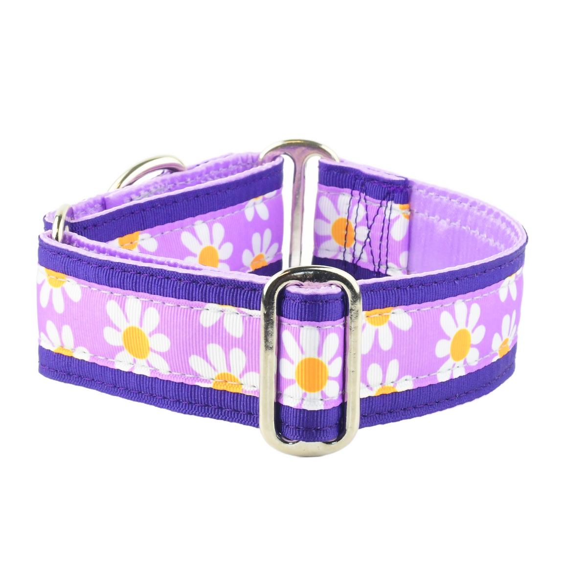 Lavender Daisy - Limited Buckle Martingale Dog Collar