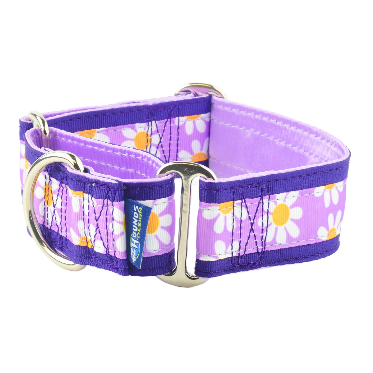 Lavender Daisy - Limited Buckle Martingale Dog Collar