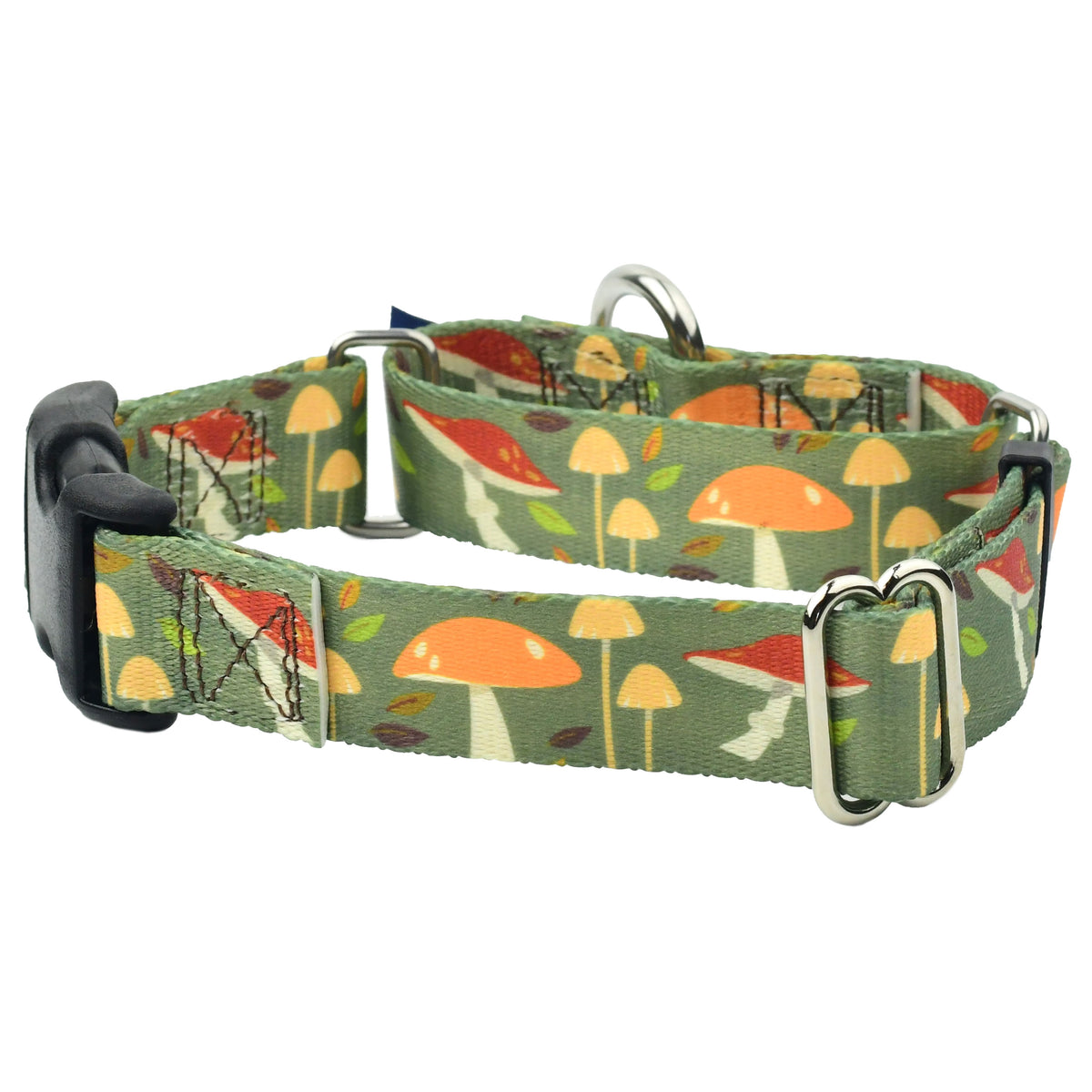Forest Floor Buckle Martingale Dog Collar – EarthStyle