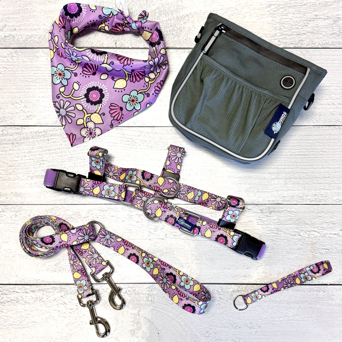 **BUNDLE!** Petal Party Purple Freedom No-Pull Harness & More!