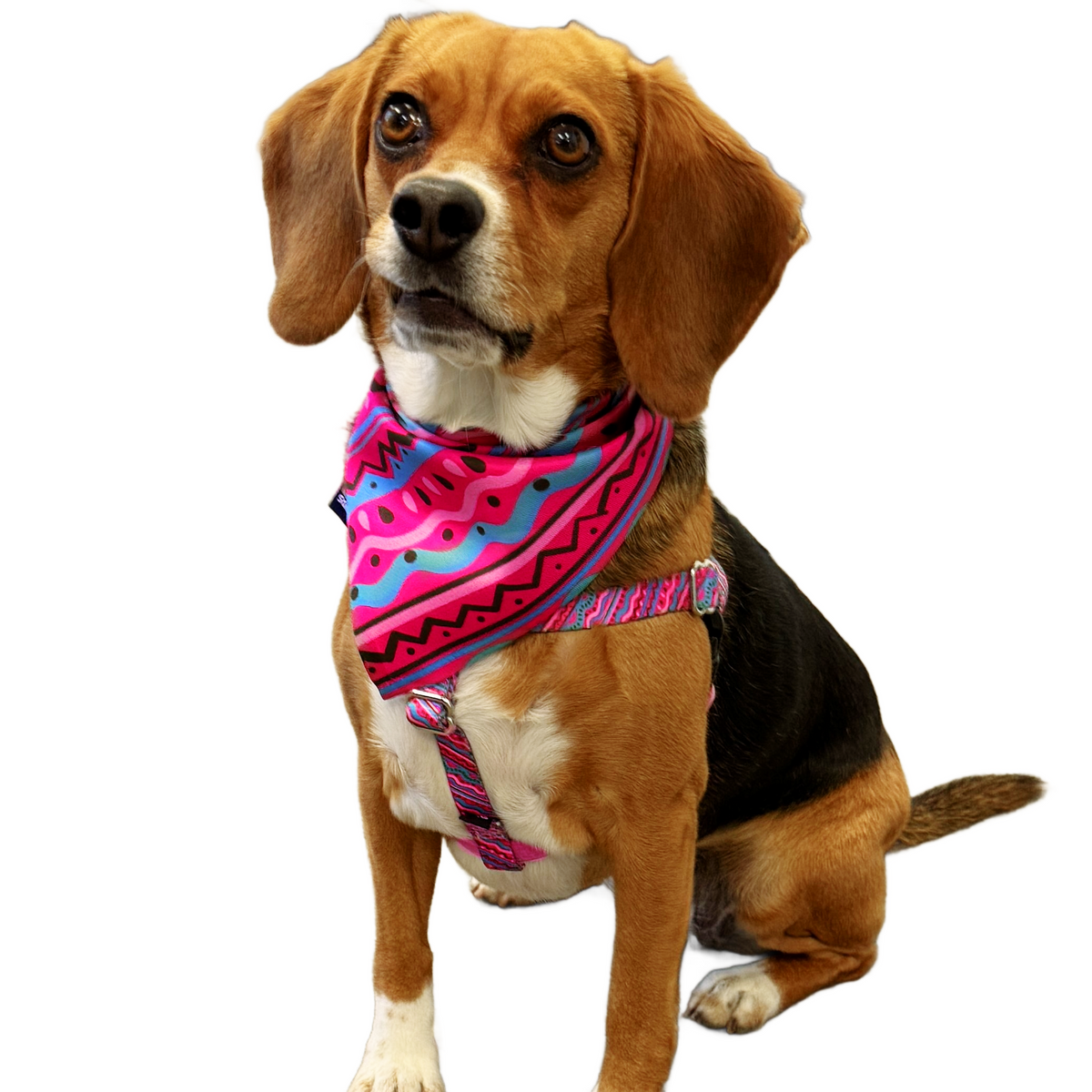 1980’s Dog Bandana