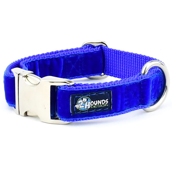 Royal Blue Velvet Essential Dog Collar Hounds Design