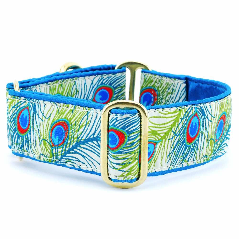 Paradise Found Cream Buckle Martingale Dog Collar
