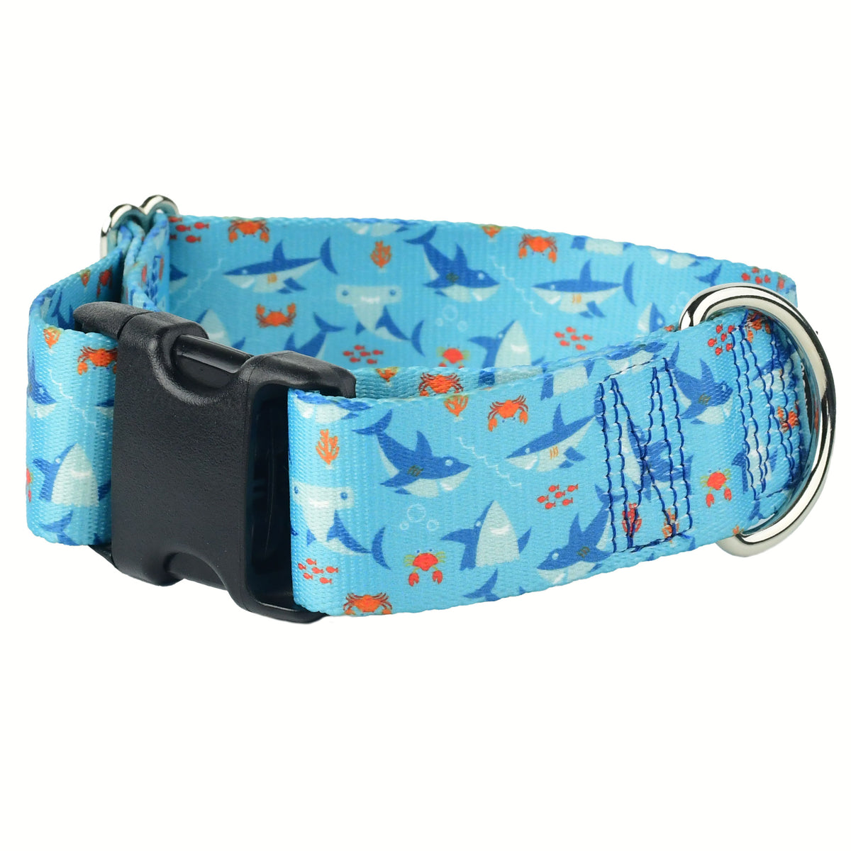 Sharky Party Dog Collar – EarthStyle