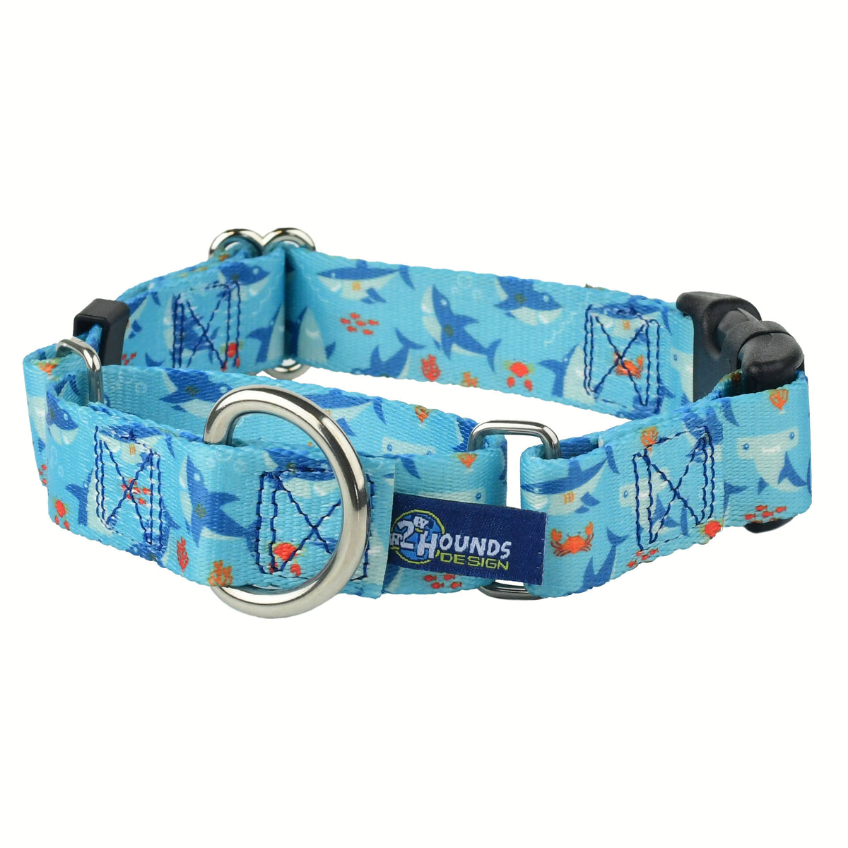 Sharky Party Buckle Martingale Dog Collar – EarthStyle