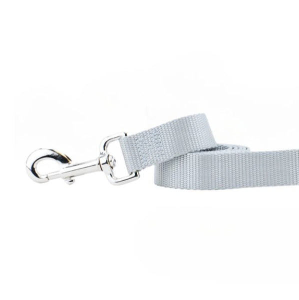 Silver Nylon Dog Leash - 2 Hounds Design