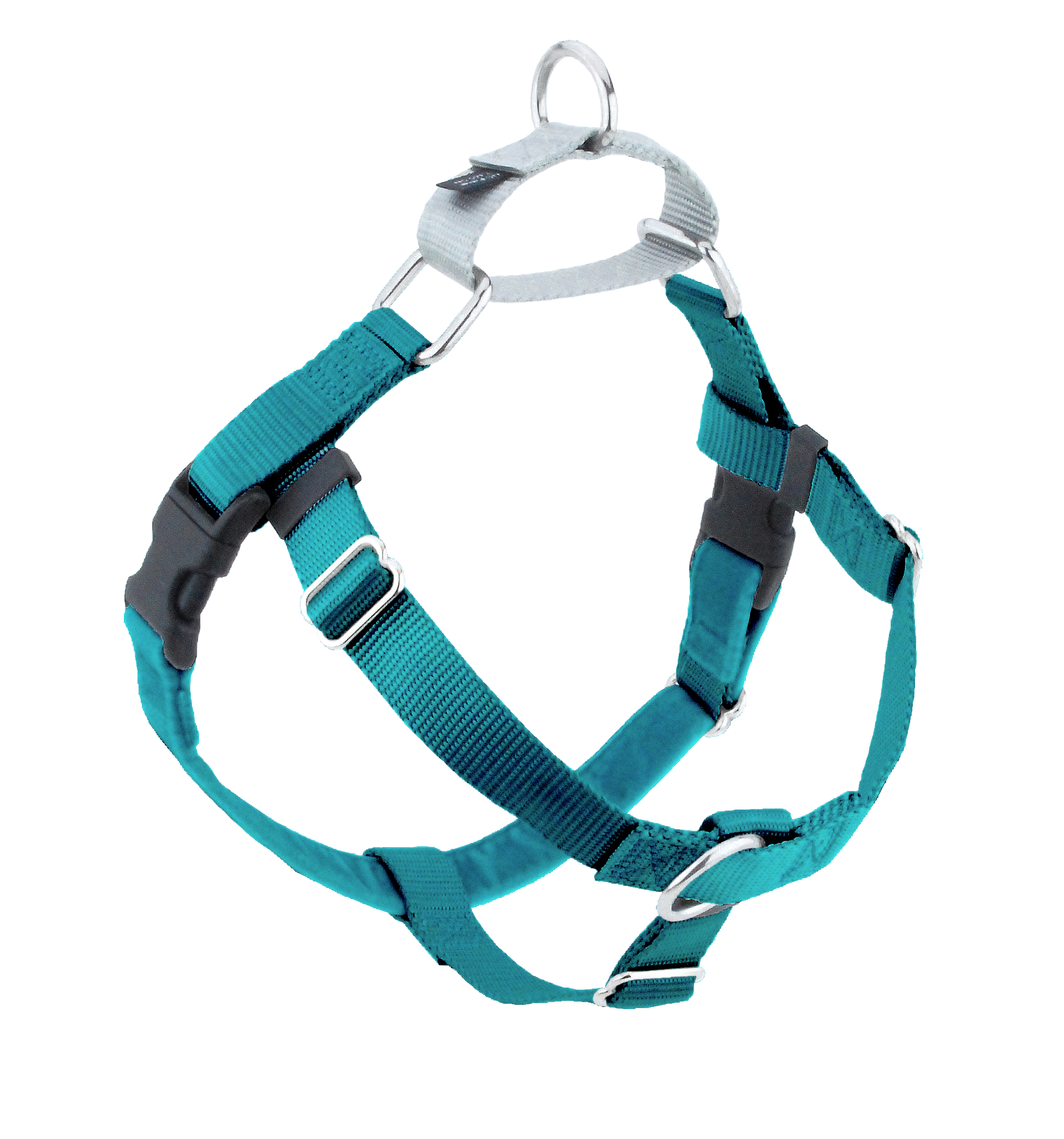 Teal Freedom No-Pull Dog Harness
