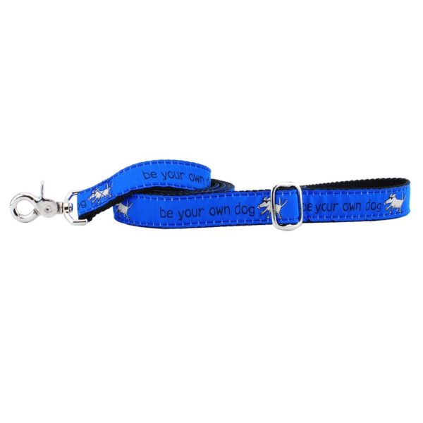 Blue 'be your own dog' motivational dog leash by 2 Hounds Design with silver hardware