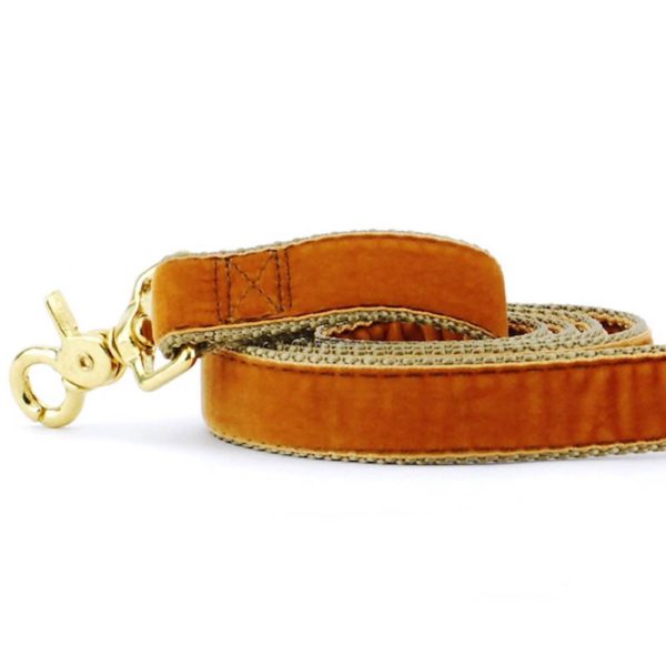 Antique Gold Velvet Dog Leash 1′′ Wide / 5' Essential Leash (Velvet one side) / Silver