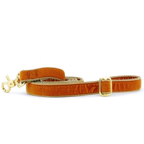 Antique Gold velvet dog leash with gold hardware and adjustable buckle by 2 Hounds Design