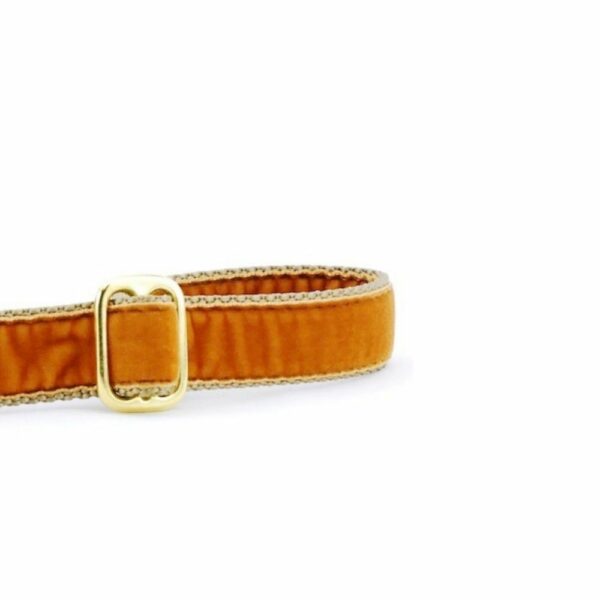 Close-up of antique gold velvet dog leash handle with adjustable feature by 2 Hounds Design