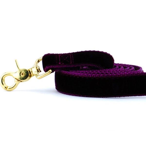 Close-up of  Burgundy velvet dog leash with gold hardware by 2 Hounds Design