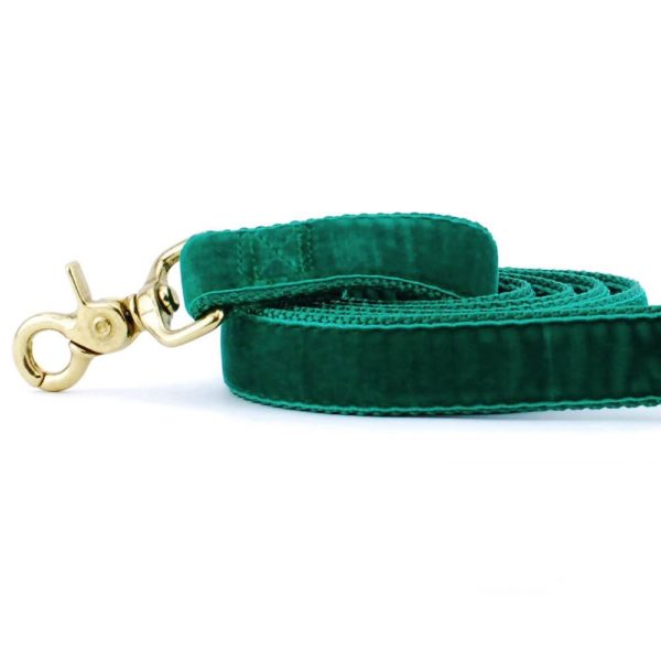 Close-up of  emerald (kelly green) velvet dog leash with gold hardware by 2 Hounds Design