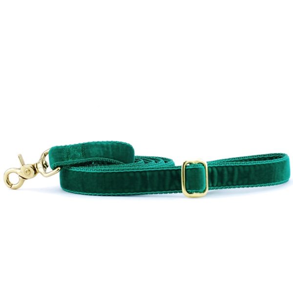 Emerald (kelly green) velvet dog leash with gold hardware and adjustable buckle by 2 Hounds Design