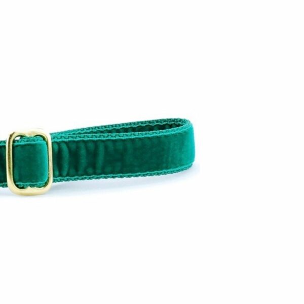 Close-up of emerald (kelly green) velvet dog leash handle with adjustable feature by 2 Hounds Design