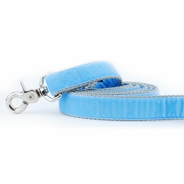Close-up of  light blue velvet dog leash with silver hardware by 2 Hounds Design