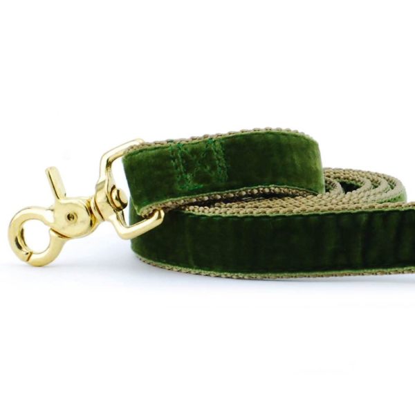 Close-up of  moss green velvet dog leash with gold hardware by 2 Hounds Design