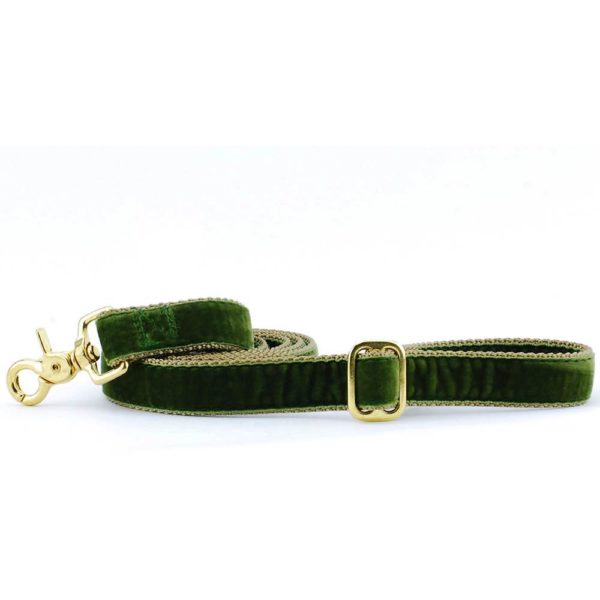 Moss green velvet dog leash with gold hardware and adjustable buckle by 2 Hounds Design