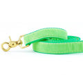 Lime Green Velvet Dog Leash