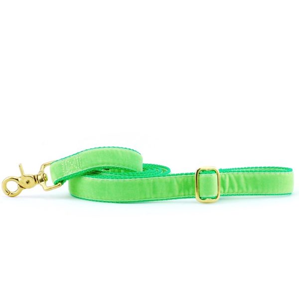 Lime green velvet dog leash with gold hardware and adjustable buckle by 2 Hounds Design