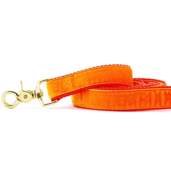 Close-up of  orange velvet dog leash with gold hardware by 2 Hounds Design