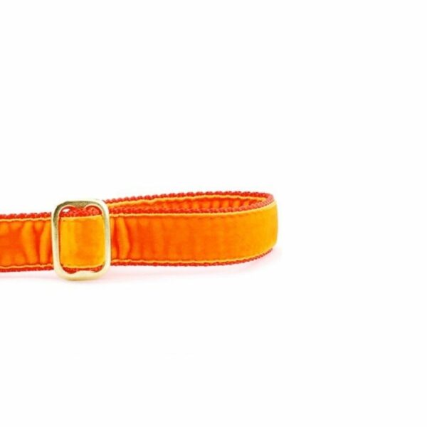 Close-up of orange velvet dog leash handle with adjustable feature by 2 Hounds Design