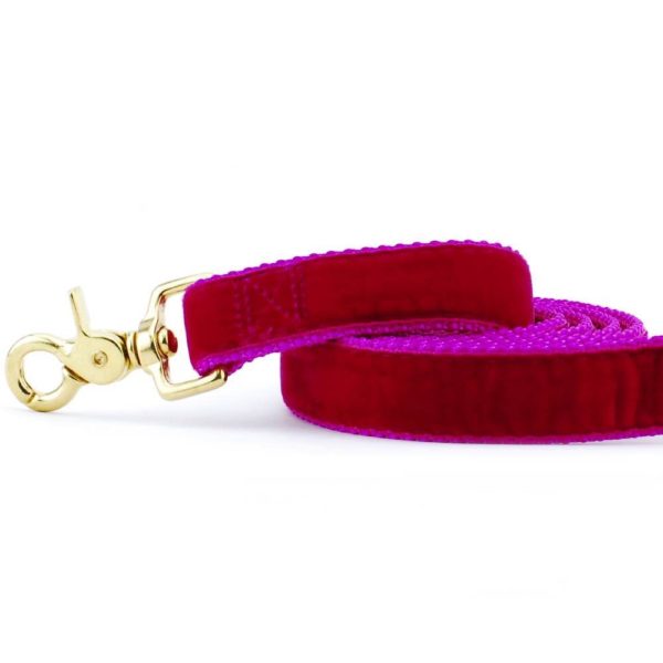 Close-up of raspberry velvet dog leash with gold hardware by 2 Hounds Design