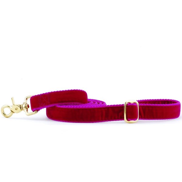 Luxurious raspberyy velvet dog leash with pink trim and gold hardware, by 2 Hounds Design