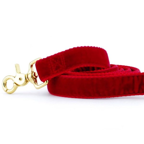 Close-up of red velvet dog leash with gold hardware by 2 Hounds Design