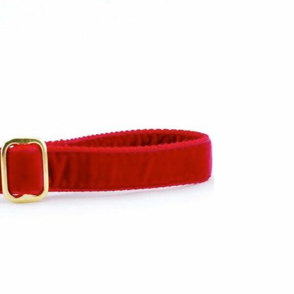 Close-up of red velvet dog leash handle with adjustable feature by 2 Hounds Design