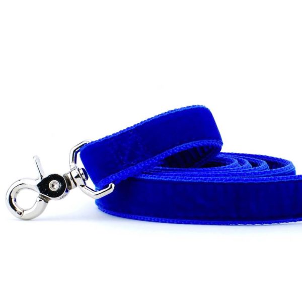 Close-up of  royal blue velvet dog leash with silver hardware by 2 Hounds Design