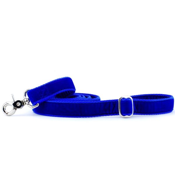 Royal blue velvet dog leash with silver hardware and adjustable buckle by 2 Hounds Design
