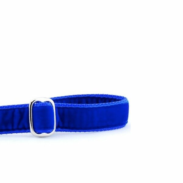 Close-up of royal blue velvet dog leash handle with adjustable feature by 2 Hounds Design