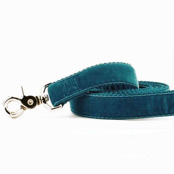 Close-up of teal velvet dog leash with silver hardware by 2 Hounds Design