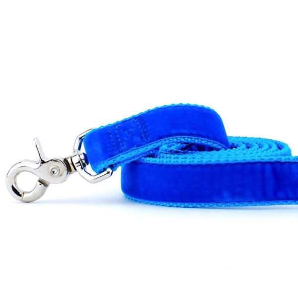 Close-up of  Venetian blue velvet dog leash with silver hardware by 2 Hounds Design
