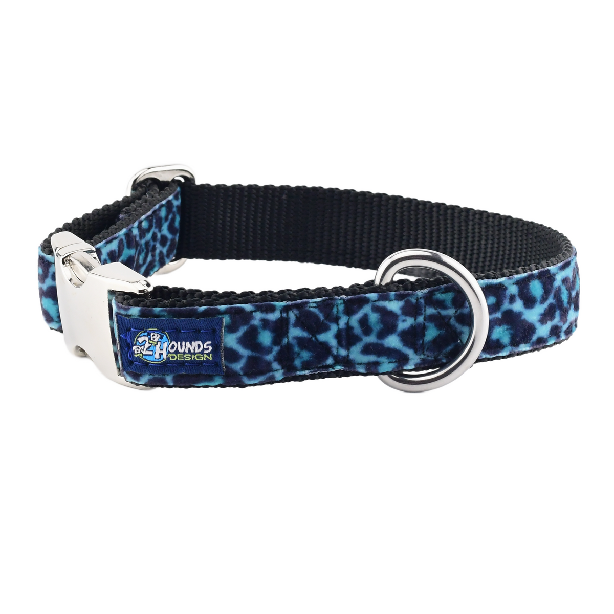 Wild Kitty Blue Velvet Essential Dog Collar
