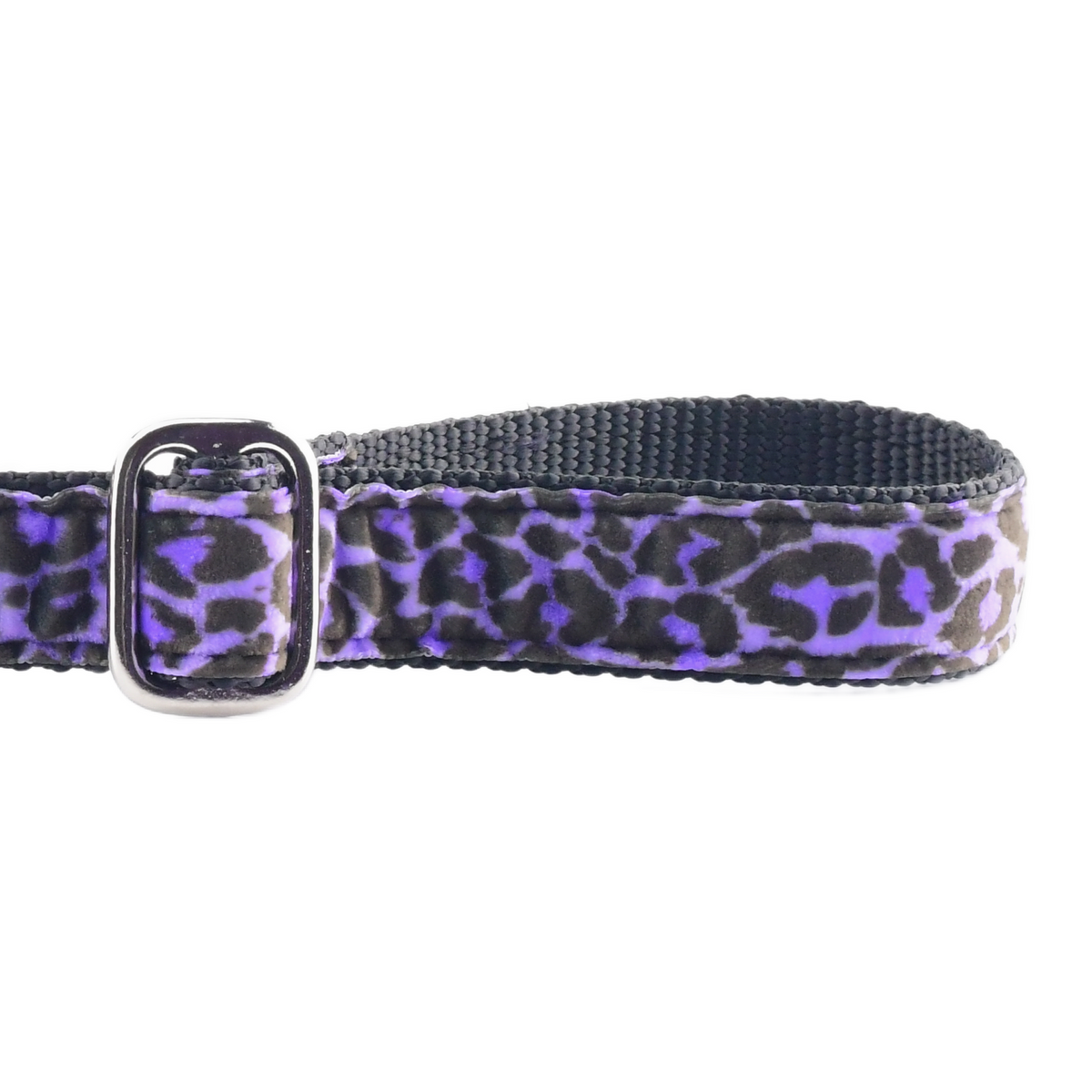 Wild Kitty Purple Velvet Essential Dog Leash